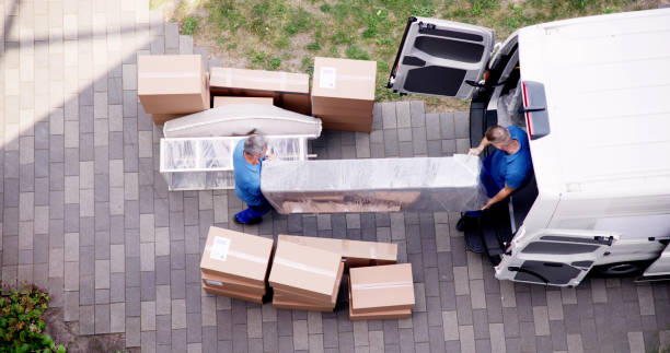 Camion e Carrello 2